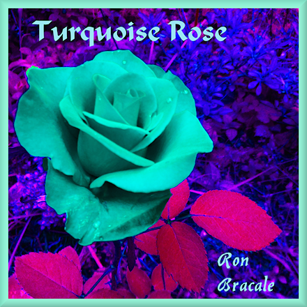 Turquiose Rose